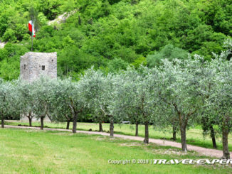 Bosco di San Francesco d'Assisi, FAI