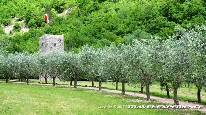 Bosco di San Francesco d'Assisi, FAI