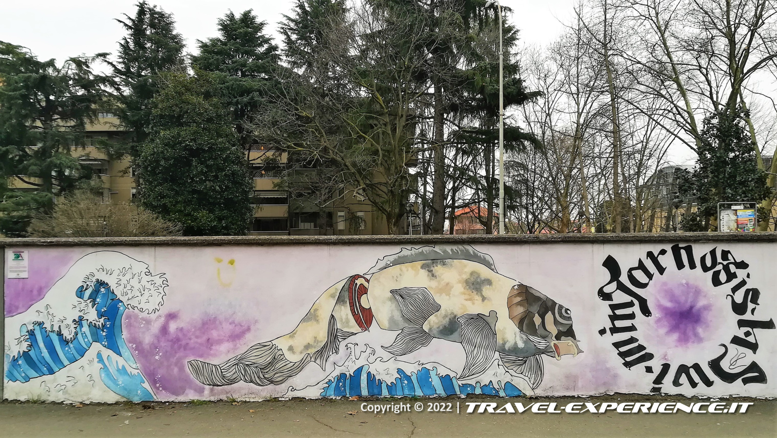 Legnano, murale dell'Acqua, “NO FISH SWIM IN TAR”