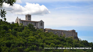 Bosco di San Francesco, Assisi, FAI