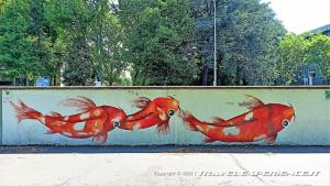 Legnano, lungo Olona, Murale dipinto dai giovani artisti dell'Istituto superiore Carlo dell'Acqua. L'opera rappresenta 3 carpe Koi, simbolo di amicizia e di forza